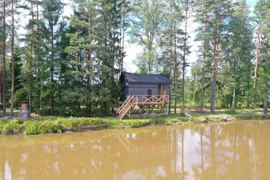 Дома для отпуска Dragon house in the tree! Jacuzzi, Sauna , Apkure! Līči